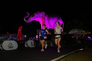 BIB: 
                            <button type="button" onclick="openModal(26543675)" class="btn btn-primary btn-sm float-right btn-popup" data-toggle="modal" data-target=".modal-high-quality">
                        <i class="fas fa-shopping-cart"></i> Add to Cart
                    </button>
                                            <button type="button" onclick="isThisMe(26543675, true)" class="btn btn-success btn-sm float-right btn-popup btn-isme hidden" data-toggle="tooltip" data-placement="bottom" title="นี่คือรูปของคุณใช่ไหม คลิกที่นี่เพื่อเอาเข้าอัลบั้ม">
                        <i class="fas fa-plus"></i> Add to album
                    </button>
                    <button type="button" onclick="isThisMe(26543675, false)" class="btn btn-warning btn-sm float-right btn-popup btn-isnotme hidden">
                        <i class="fas fa-ban"></i> Remove from album
                    </button>